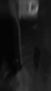 （原创）成都BOSS的艺术殿堂
